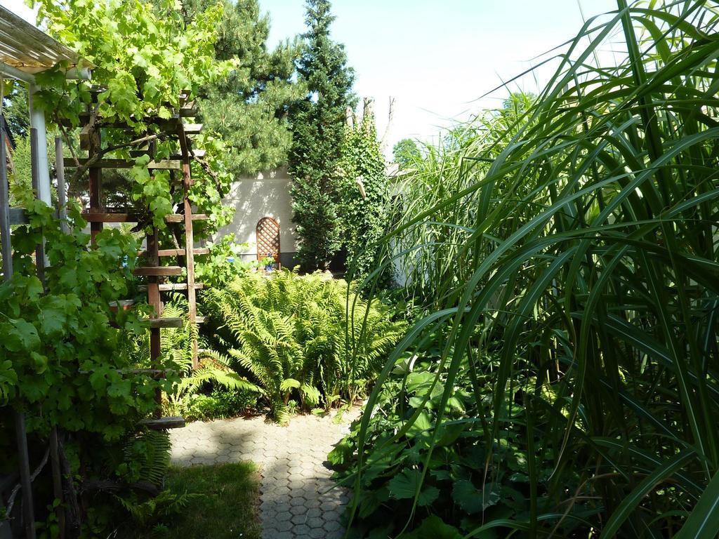 Pension Muench "Am Anger" Neuseusslitz Экстерьер фото
