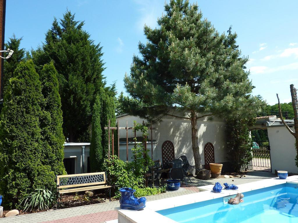 Pension Muench "Am Anger" Neuseusslitz Номер фото
